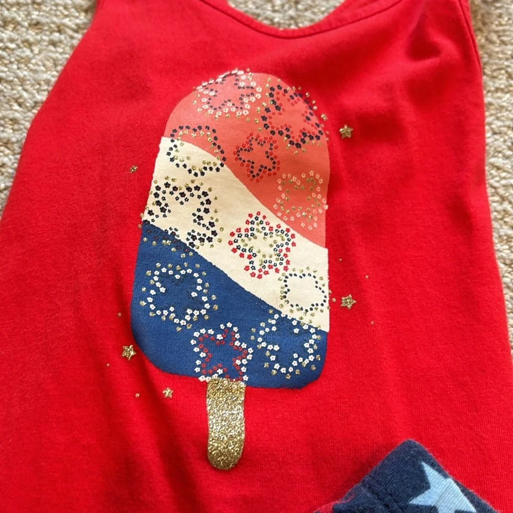 Carter’s 24 Month Tank and Short Outfit